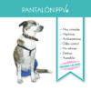 Características de la Prenda Protectora Veterinaria PPV Pantalón. Prenda antibacteriana postquirúgica para mascotas.