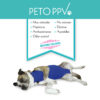 Características de la Prenda Protectora Veterinaria PPV para Pecho y Abdomen. Prenda antibacteriana postquirúgica para mascotas.
