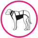 pecho y abdomen prenda protectora veterinaria PPV para perro